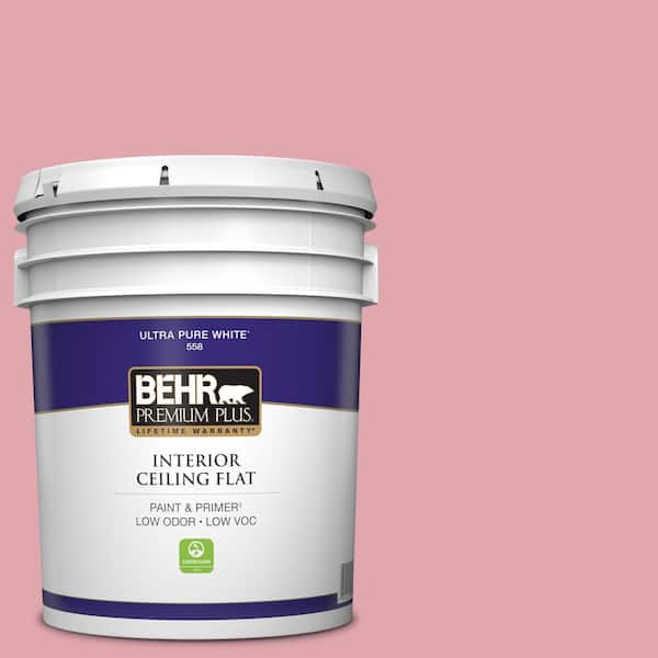 5 gal. #M150-3 Apple Blossom Ceiling Flat Interior Paint