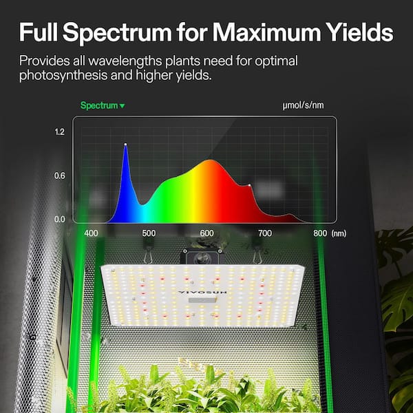 VIVOSUN 2 ft. x 2 ft. Indoor Grow Tent Kit with GrowHub WiFi