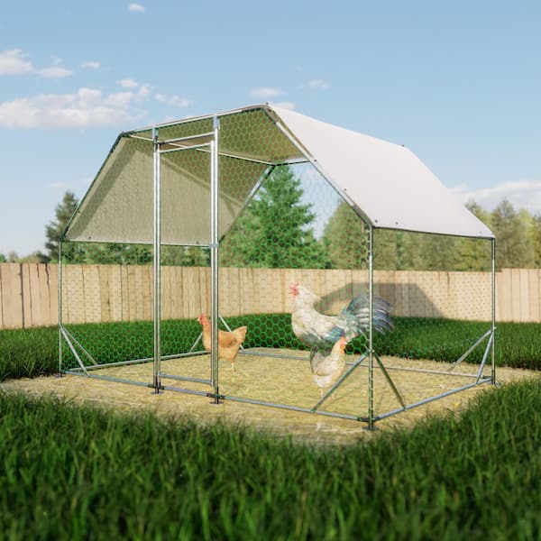Hohuqeri 10 ft. x 6 ft. Large Walk-in Chicken Coop, Flat-top type