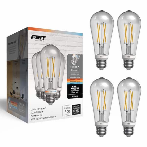 40-Watt Equivalent ST19 Dimmable Straight Filament E26 Clear Glass LED Light Bulb, Selectable White (4-Pack)