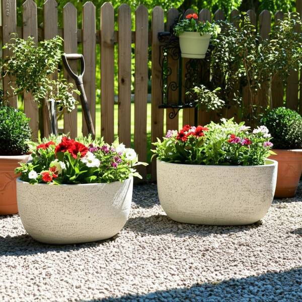 pot succulents Succulent Arrangement main image 1