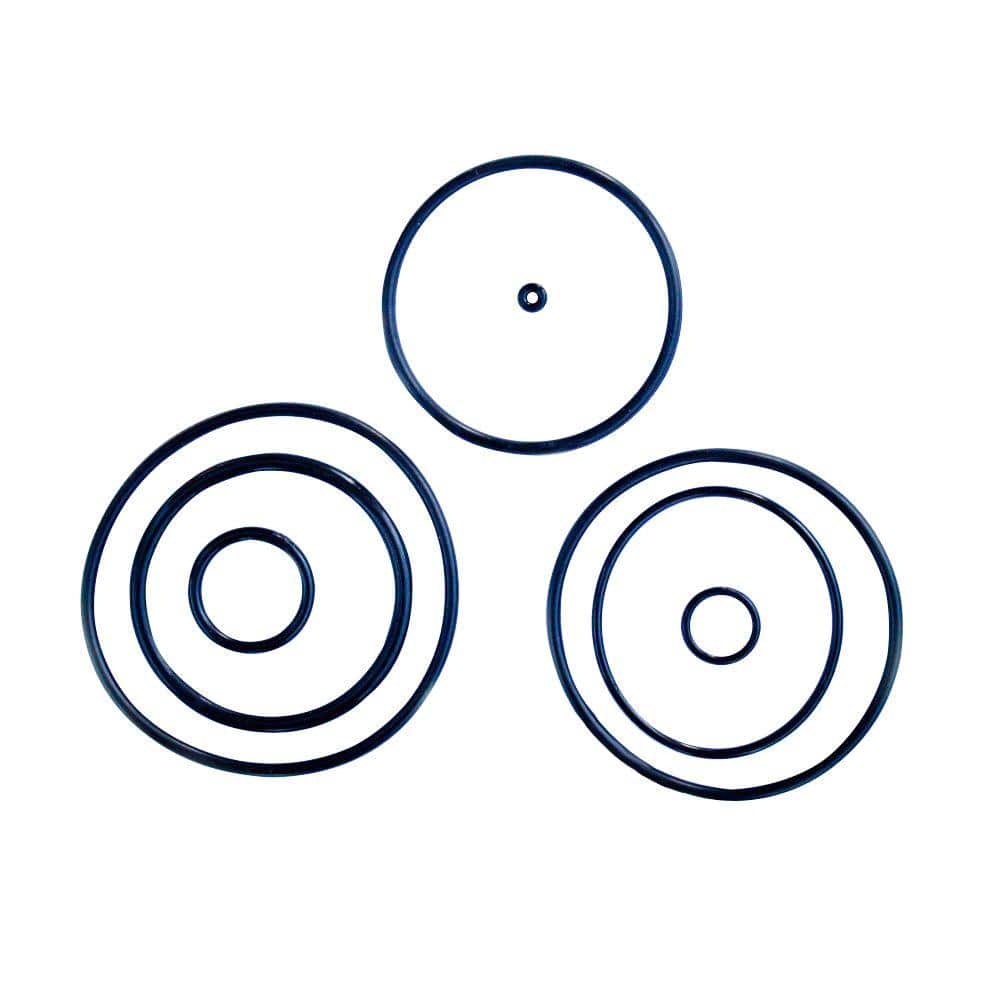 O-Ring Replacement Kit for DPP123 price history on PriceWatchPro