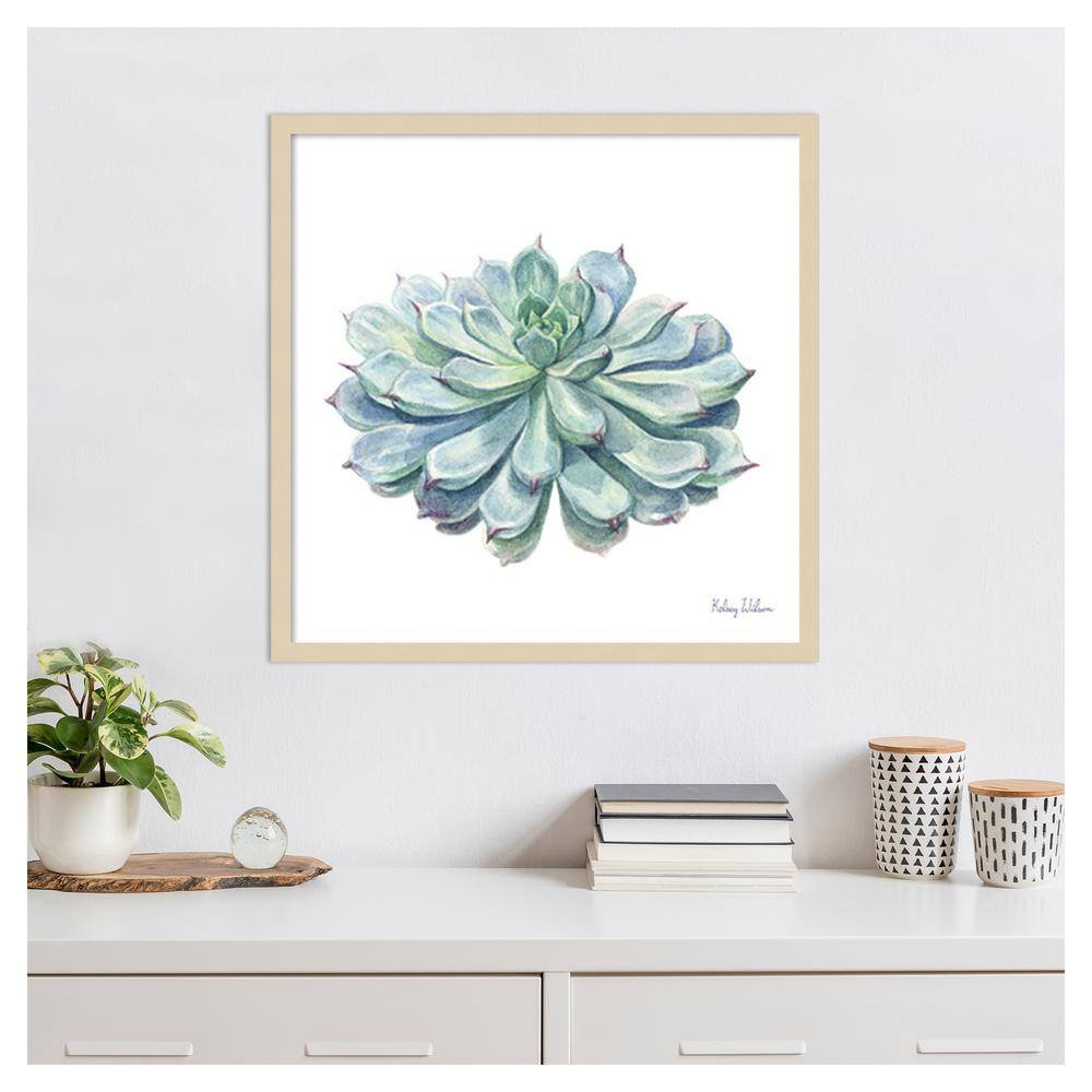 Blue-Green Succulent Watercolor 25"x25" Wood Framed Wall Art