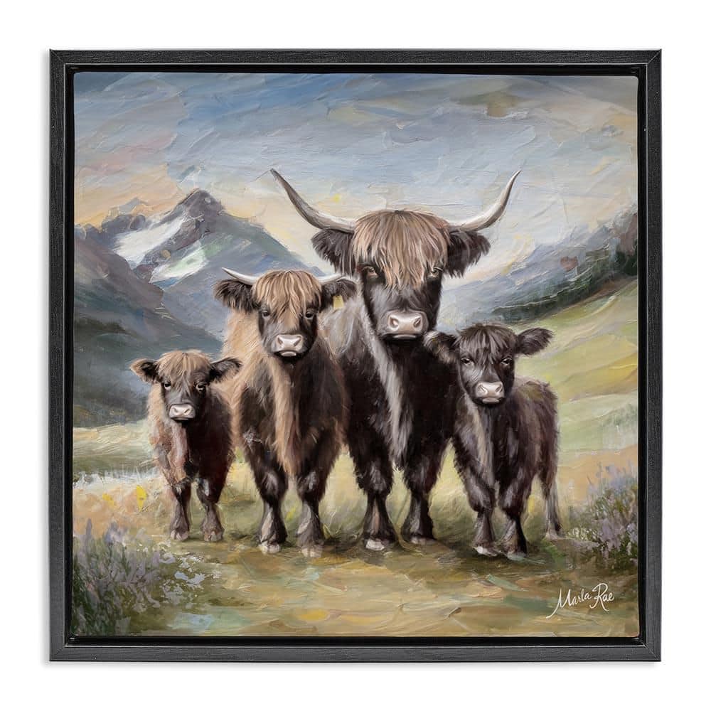 Cattle Family in Highlands by Marla Rae Black Floater Frame Animal Graphic Art Print 25 in. x 25 in. price history on PriceWatchPro
