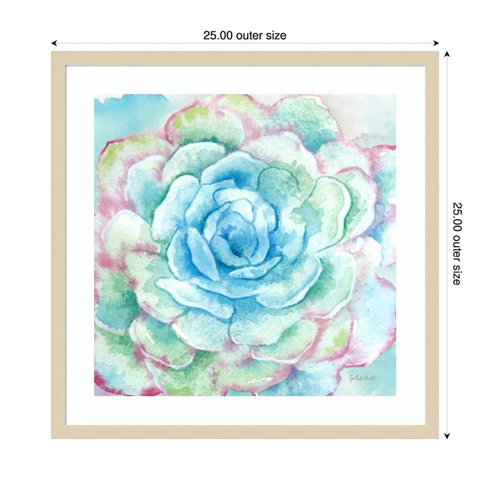 Sweet Succulents I Svelte Natural Framed Graphic Art Print