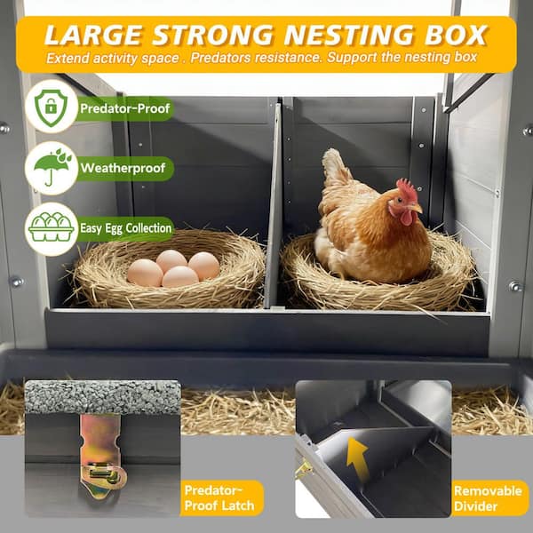 Outdoor Free-Range Wooden Chicken Coop with Asphalt Roof, Leak