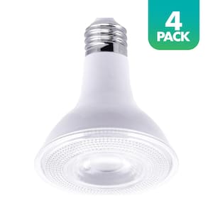 75-Watt Equivalent PAR30 Dusk to Dawn LED Light Bulb in 5000K Daylight (4-Pack)