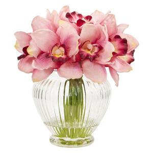 cymbidium 1802
