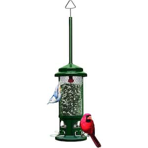 10 in. H Hanging Standard Squirrel Resistant Bird Feeder with 4 Metal Perches, 1.3 lbs. Seed Capacity, Garden Greens