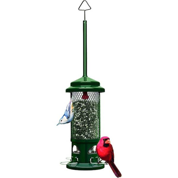 Unbranded 10 in. H Hanging Standard Squirrel Resistant Bird Feeder with 4 Metal Perches, 1.3 lbs. Seed Capacity, Garden Greens