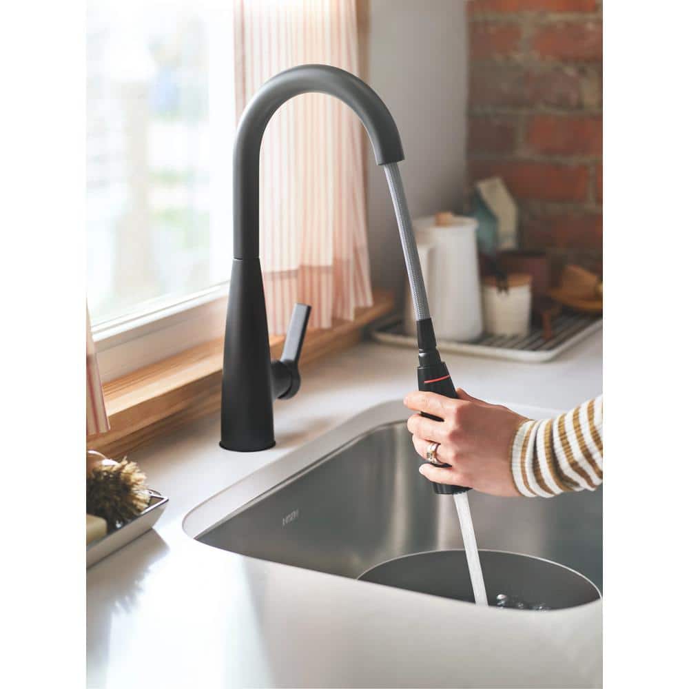 Matte Black Pull-Down Kitchen Faucet with Pull-out Spray