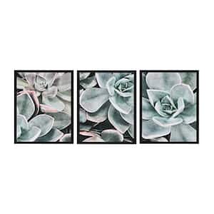 Sylvie Botanical Succulent Plants 1, 2, 3 24 in. x 18 in. by The Creative Bunch Studio Framed Canvas Wall Art