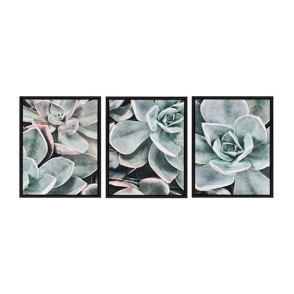 Kate and Laurel Sylvie Botanical Succulent Plants 1, 2, 3 24 in. x 18 in. by The Creative Bunch Studio Framed Canvas Wall Art