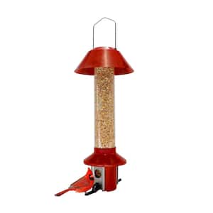 Red Metal Pest Off Squirrel Proof Mixed Seed and Sunflower Bird Feeder