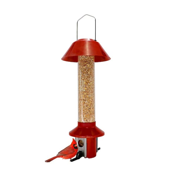 Coppertop Sunflower Tube Fdr Woodlink Coppertop Sunflower Seed Tube Feeder COPSUN - The Home Depot