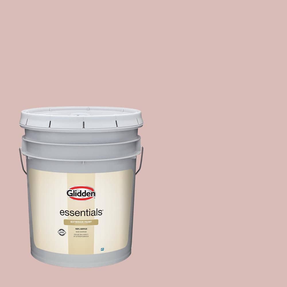 5 gal. PPG1056-3 Ashes Of Roses Flat Exterior Paint price history on PriceWatchPro