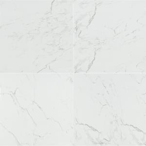 Cararra 24 in. x 24 in. Polished Porcelain Floor and Wall Tile (16 sq. ft./Case)