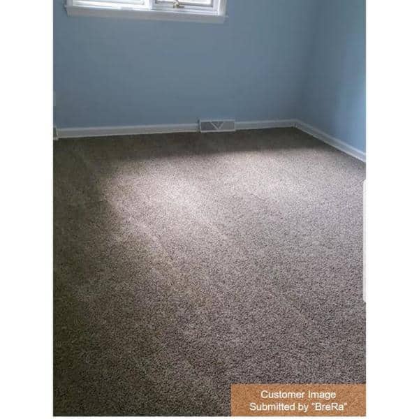TrafficMaster Elevations - Sky Gray - 12 ft. 15 oz. SD Polyester Texture  Full Roll Carpet sq. ft/Roll 7PD5N660144H - The Home Depot