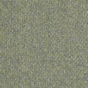 Fallbrook - Hyacinth - Blue 19 oz. SD Olefin Berber Installed Carpet