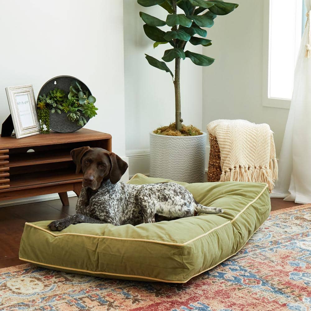 Medium Moss Chew Resistant Microfiber Dog Bed