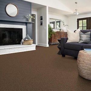 Watercolors II - Pea Gravel - Brown 38.4 oz. Polyester Texture Installed Carpet