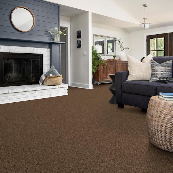 Watercolors II - Pea Gravel - Brown 15 ft. 38.4 oz. Polyester Texture Installed Carpet
