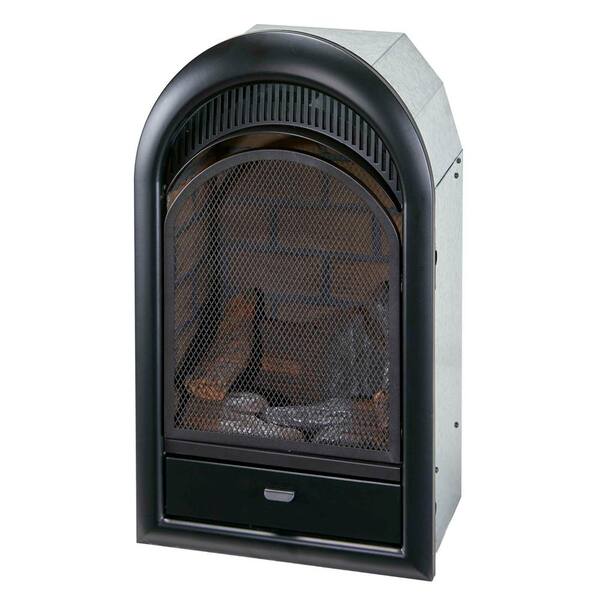 Bluegrass Living Vent Free Propane Gas Fireplace Insert 10 000 Btu T Stat Control Zero Clearance Design 170267 The Home Depot Bluegrass Living Vent, Vent Free Propane Fireplace Home Depot