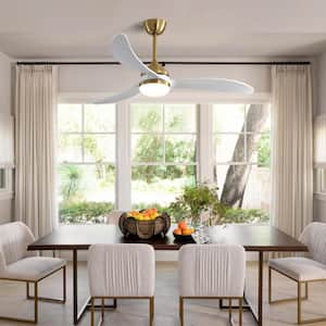 Modern 52 in. Indoor Gold Ceiling Fan with 6 Speed Wind 8 Blades Remote Control Reversible DC Motor with Light