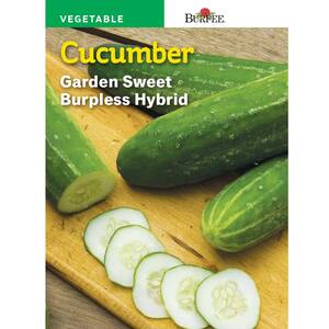 Cucumber Burpless Sweet Burpless Hybrid Seed