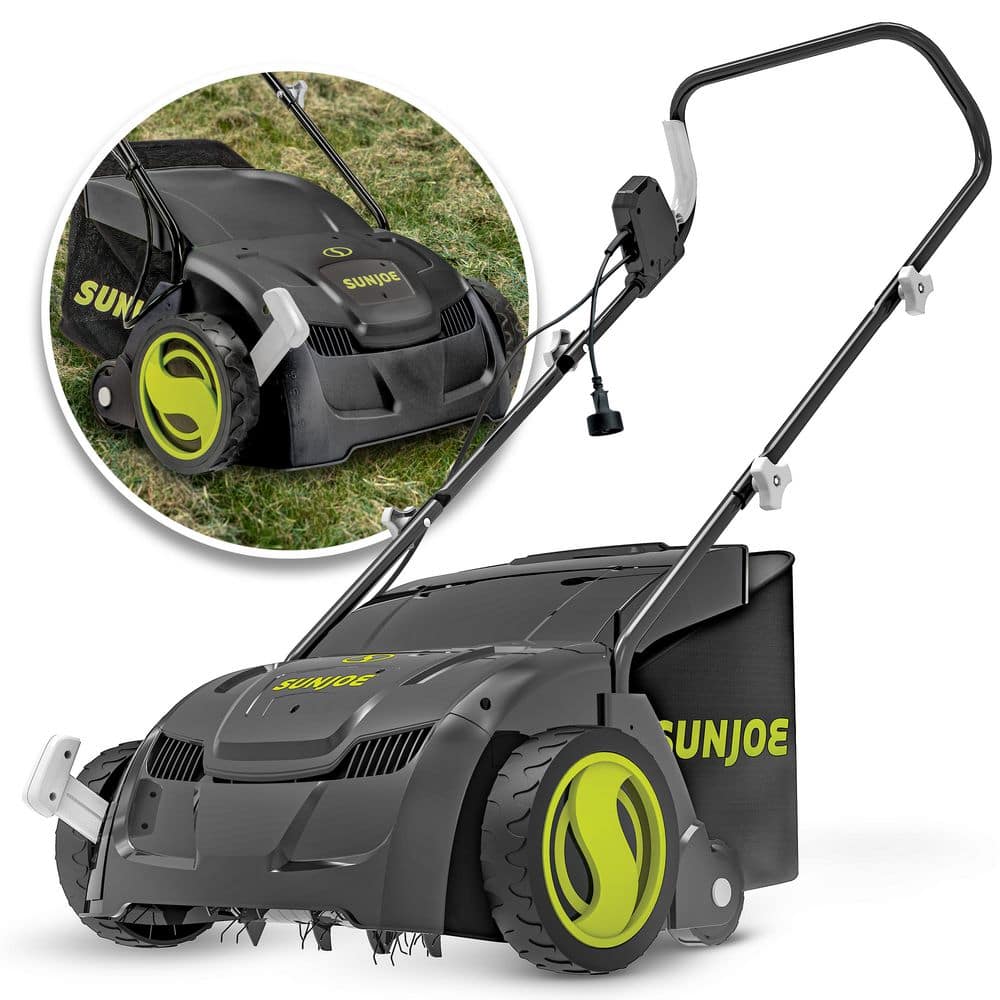 13 in. 12 Amp Electric Scarifier Plus Lawn Dethatcher with Collection Bag and Safety Glasses price history on PriceWatchPro