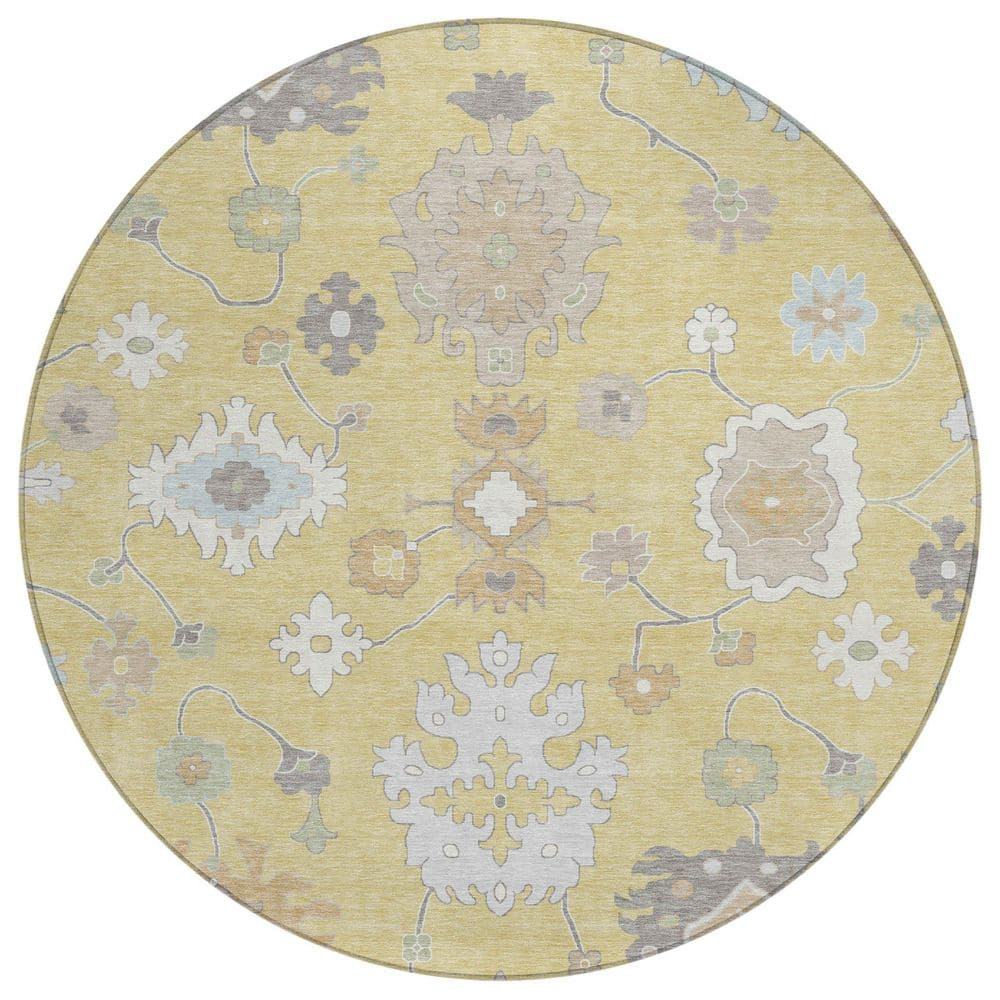 Chantille Machine Washable Indoor/Outdoor Abstract ACN2675 Wheat 8 ft. x 8 ft. Round Rug price history on PriceWatchPro