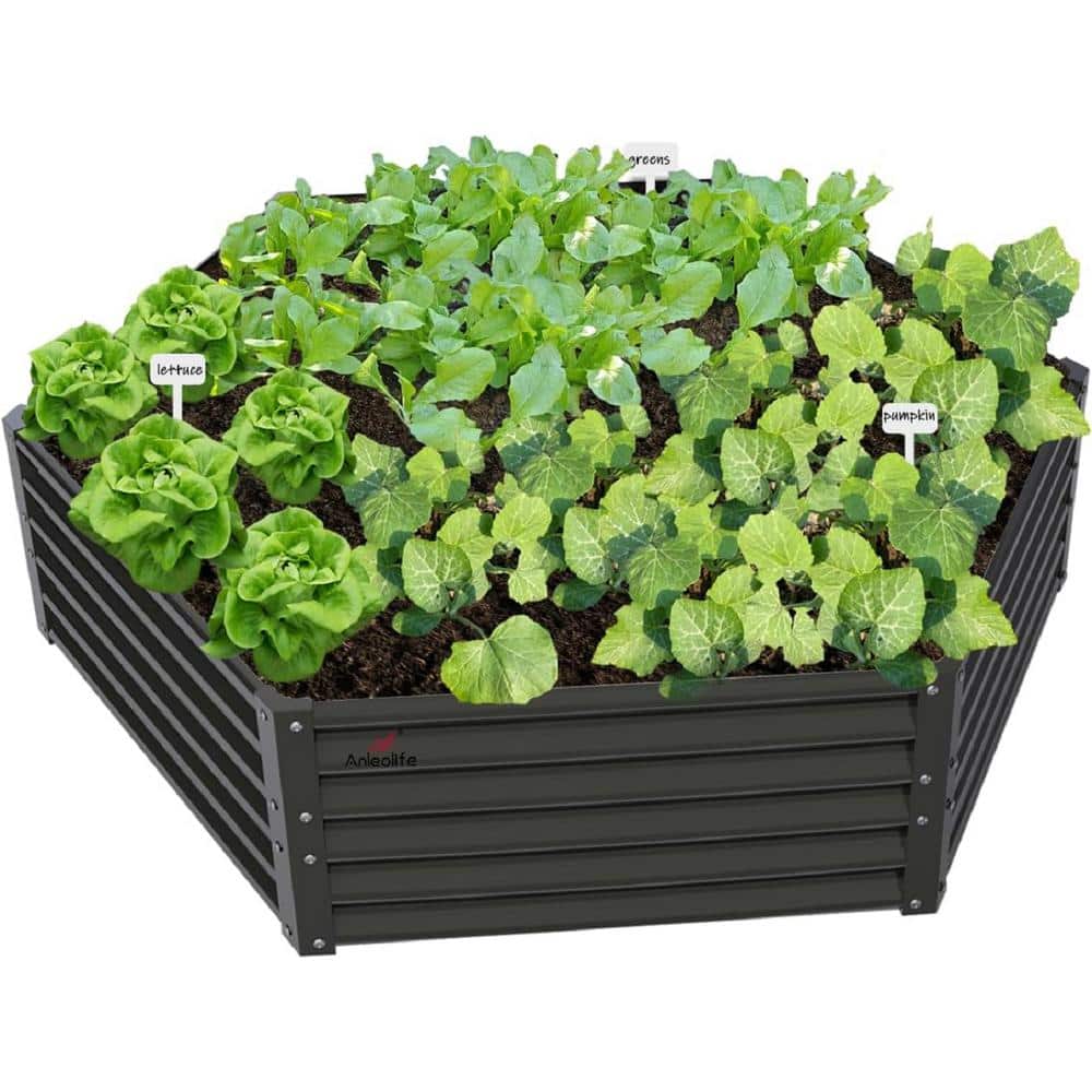 Gray Hexagon Galvanized Steel Raised Garden Beds Outdoor Planter Box for Planting Vegetables Flowers Herb Anti-Rust price history on PriceWatchPro