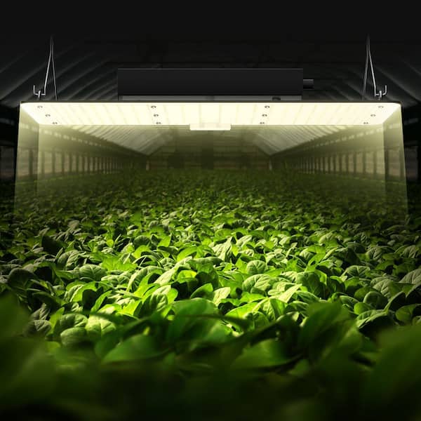 GIVIMO 2 ft. 200-Watt Full Spectrum LED Grow Light with Samsung