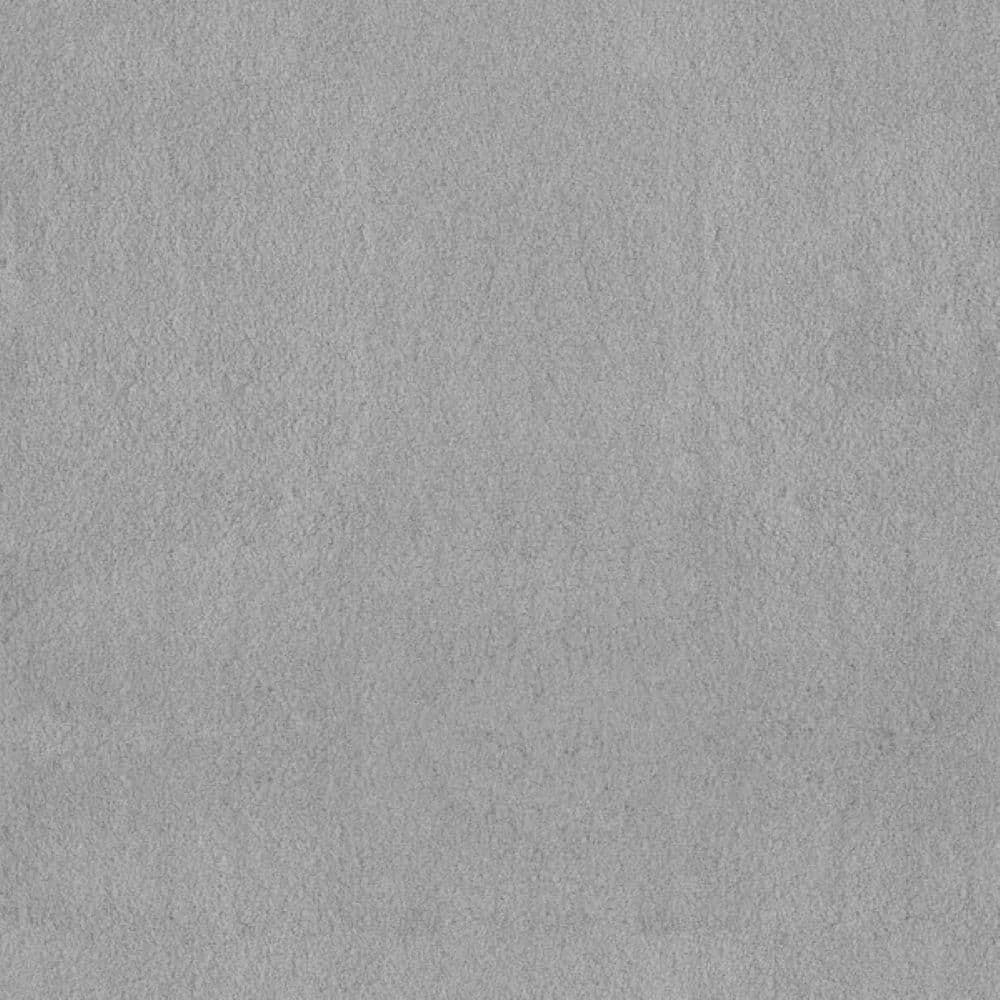 8 in. x 8 in. Texture Carpet Sample-Dreamy Daze II-Color Dark Waters price history on PriceWatchPro