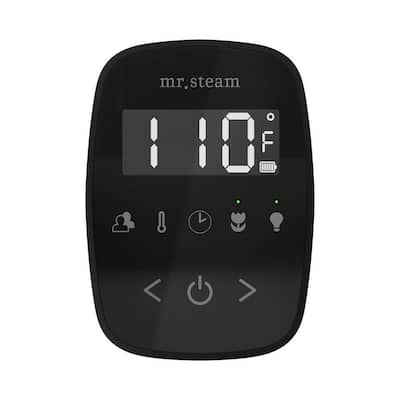 ButlerFlex Steam Shower Control Package with TempoFlex Control and Linear Steamhead in Black Matte Black