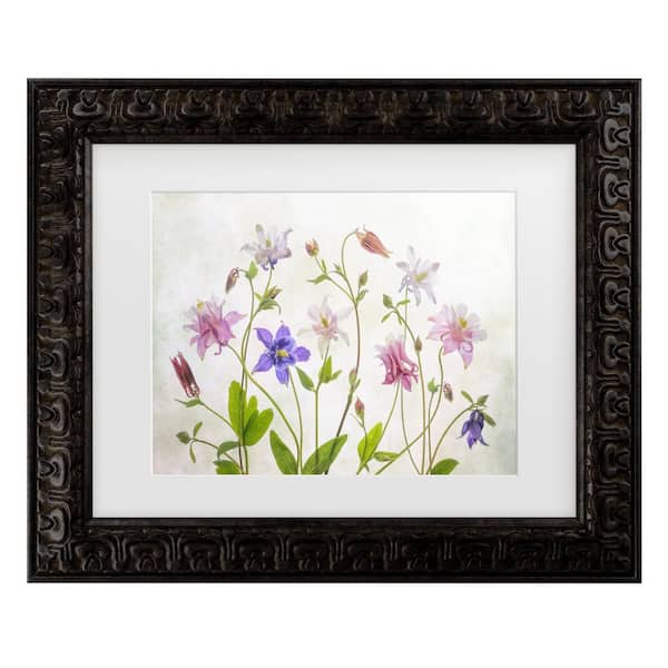 Trademark Fine Art Mandy Disher Columbine Matted Framed Photography Wall Art 14.5 in. x 17.5 in.