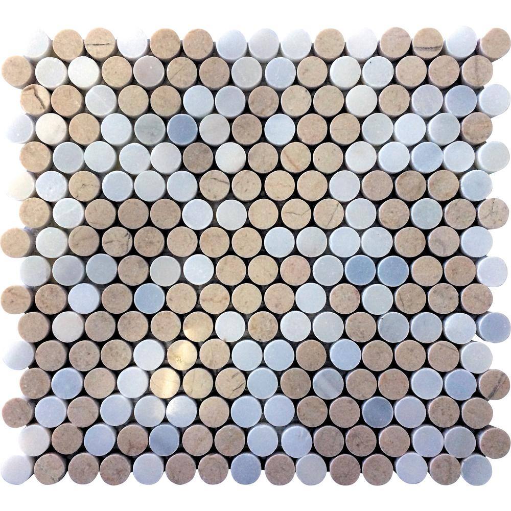 Gray and Beige Penny Polished Marble Mosaic Tile Pack