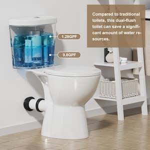 Rear Drain Two-piece High Toilet 0.8/1.28 GPF Dual Flush Round Toilet in White, with Soft Close Cover