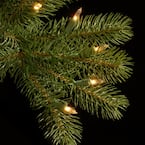 https://images.thdstatic.com/productImages/c8b7e131-400f-40d3-ba77-84cd3722bf50/svn/national-tree-company-pre-lit-christmas-trees-pedd1-d12-75-4f_145.jpg