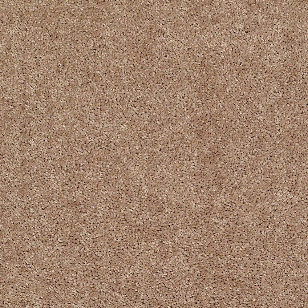 8 in. x 8 in. Texture Carpet Sample - Alpine - Color Sophistication price history on PriceWatchPro