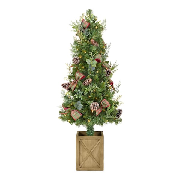 When does home depot get live christmas trees 2021