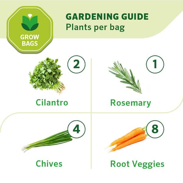 How to Use Garden Grow Bags: 10 Tips