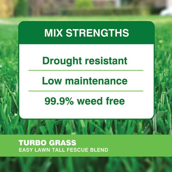 Vigoro 6 lbs. Turbo Grass Tall Fescue Combination Grass Seed and