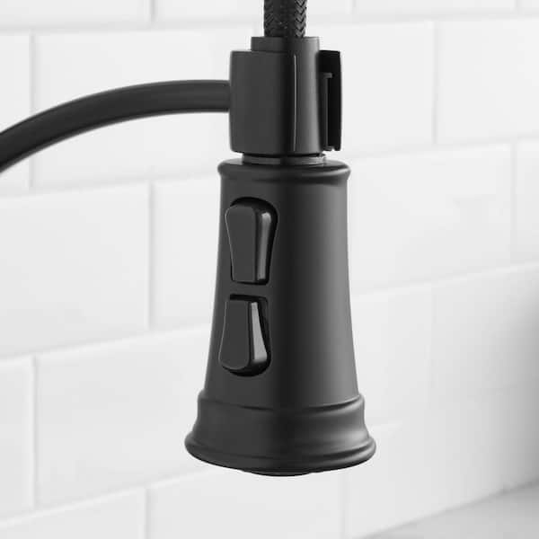 Glacier Bay Mandouri Single-Handle Spring Neck Pull-Down Sprayer 
