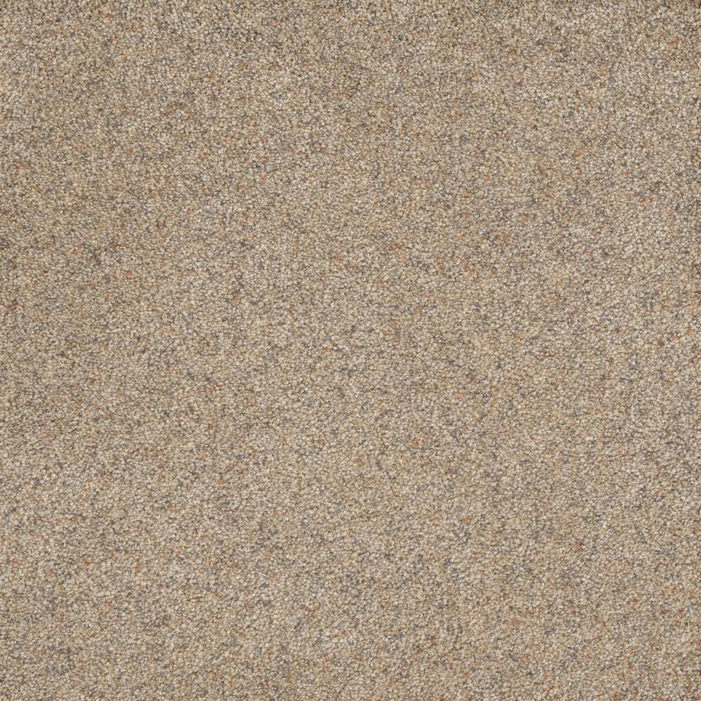 8 in. x  8 in. Texture Carpet Sample - Bradmore II -Color Kind price history on PriceWatchPro