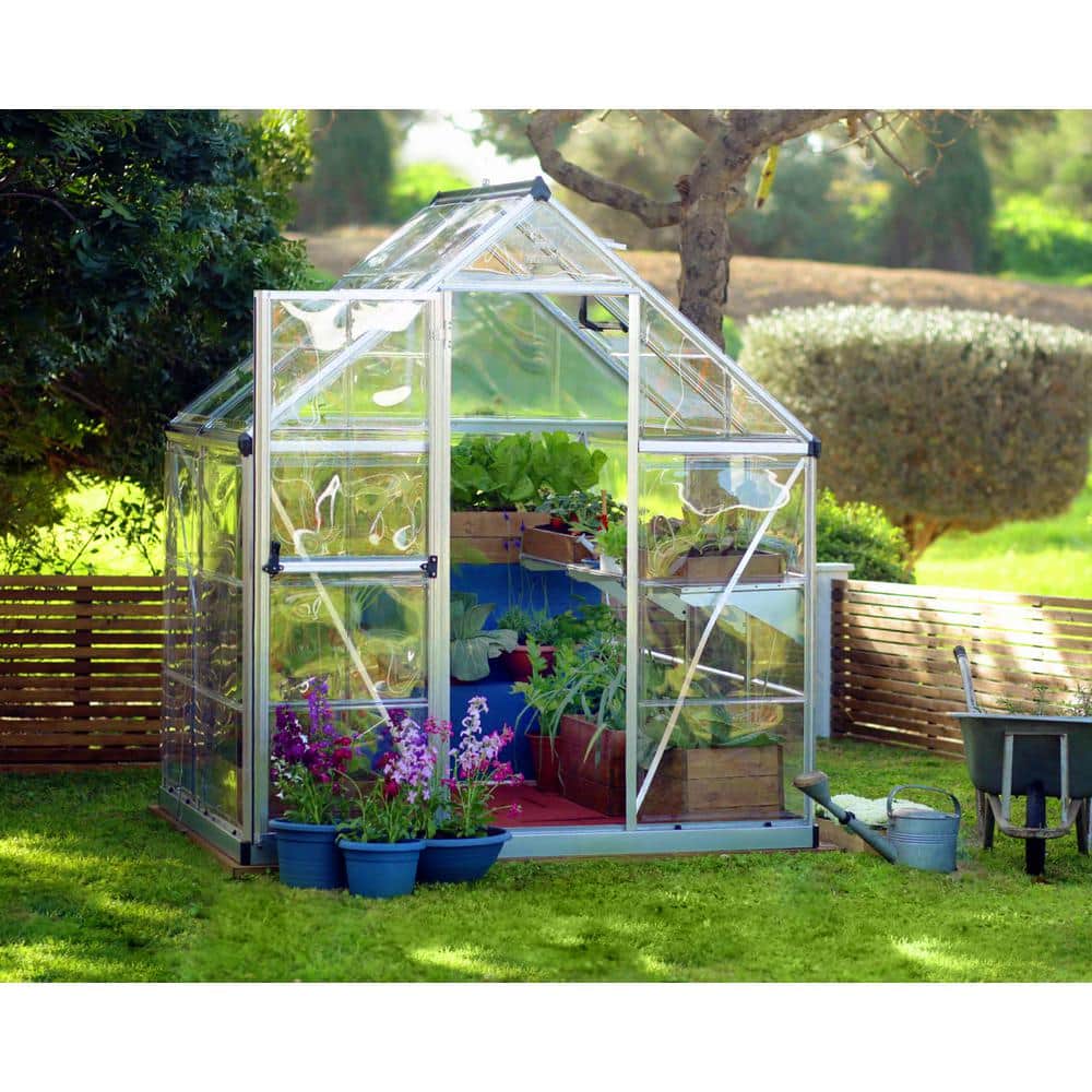 Best HD Pictures about  Home Depot Greenhouse Plastic  with No AI Images