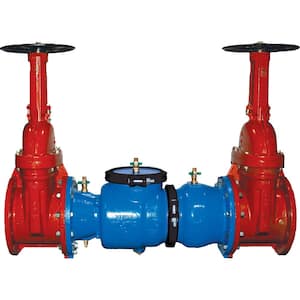 12 in. 350 Double Check Valve Backflow Preventer, with OS&Y Gate Valves