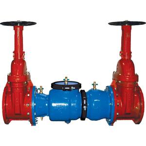 12 in. 350 Double Check Valve Backflow Preventer, with OS&Y Gate Valves