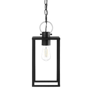 Rimgate 15.63 in. 1-Light Matte Black Outdoor Pendant Light with Clear Glass Shade