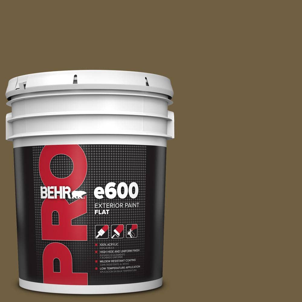 5 gal. #360F-7 Olive Shadow Flat Exterior Paint price history on PriceWatchPro